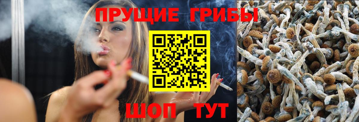 Чапаевск  Галлюциногенные грибы GOLDEN TEACHER  Вход с VPN 